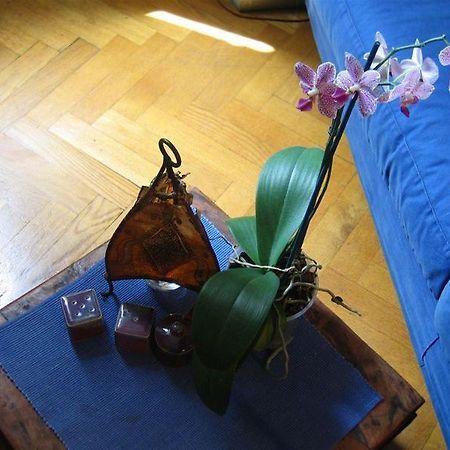 Maria-Rosa Guesthouse 罗马 外观 照片