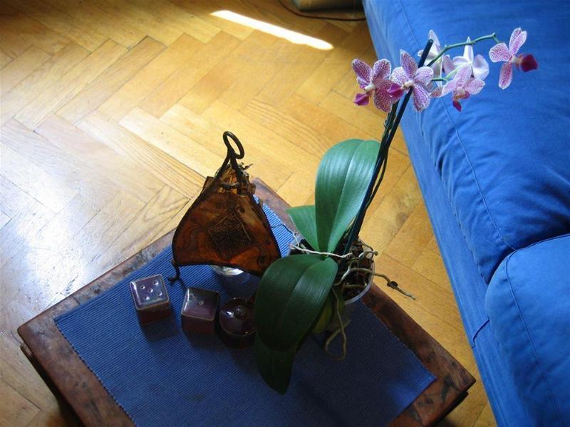 Maria-Rosa Guesthouse 罗马 外观 照片
